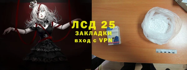 ПСИЛОЦИБИНОВЫЕ ГРИБЫ Верея