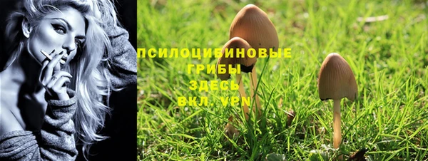 apvp Волоколамск