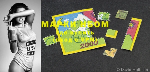 ПСИЛОЦИБИНОВЫЕ ГРИБЫ Верея