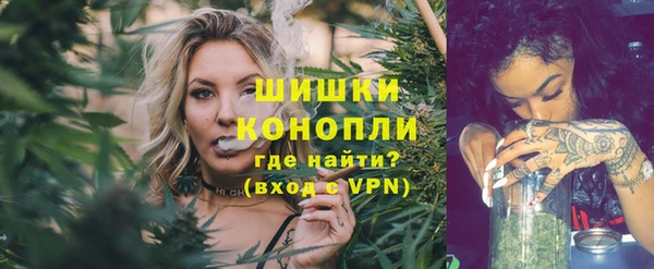 сатива Володарск